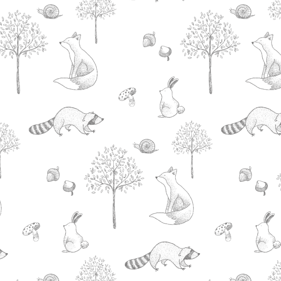 Gray Raccoon Pima Long Pajama Set - The Avenue44
