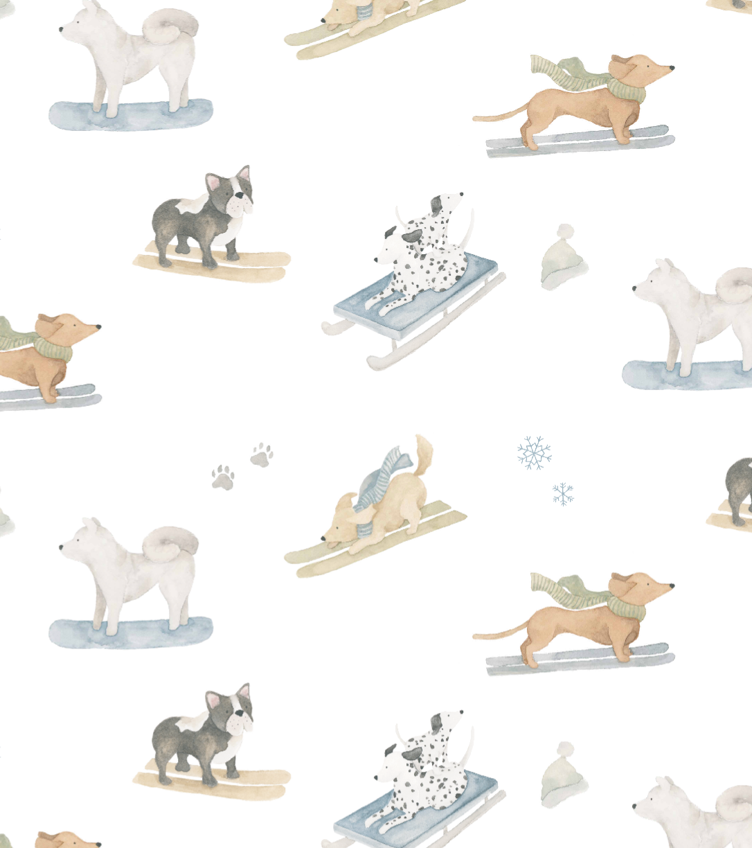 Ski Pups Boy Pima Baby Pajama - The Avenue44
