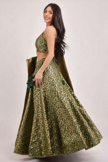 Beryl Green Banarasi Lehenga Choli Set