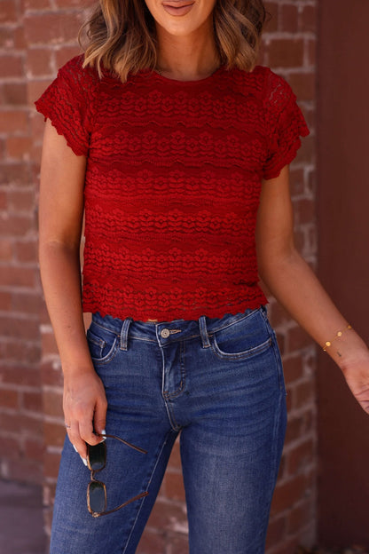 Amara Burgundy High Neck Lace Top - The Avenue44